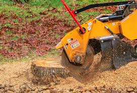 Best Lawn Maintenance Plans  in Clifton Springs, NY